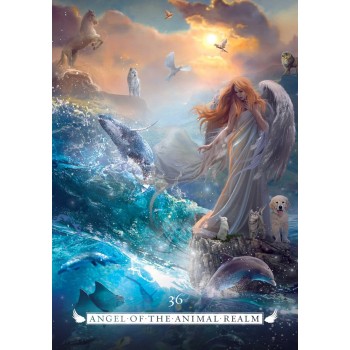 Angel orakulo kortos Rockpool Publishing